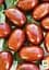 Зізіфус (унабі) Agro-Market "Сініт" (ранній термін дозрівання, високоврожайний сорт) вазон Р9, висота 10-15 см (187593) 1 саджанець в упаковці - мініатюра 2