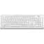 Комплект (клавиатура + мышь) A4Tech Fstyler FG1010 White/Gray [114625] - миниатюра 5