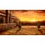 Ключ активації Microsoft Suikoden I&II HD Remaster Gate Rune and Dunan Unification Wars для Xbox One/Series S/X - мініатюра 2
