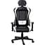 Геймерське крісло 1stPlayer FK2 Black/White [121656] - мініатюра 1