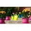 Лійка Plastkon Spring 4.5 л салатова (116564) - мініатюра 3