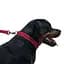 Поводок для собак Barksi Active 152х1.6 см красный - миниатюра 6