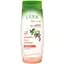 Шампунь для ослабленого волосся L'Ode Natural Secrets Shampoo 2 In 1 Conditioner Goji&Green Coffee 400 мл - мініатюра 1