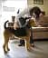 The Beginner's Dog Training Guide - миниатюра 6