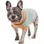 Свитер вязаный для собак Pet Fashion Rich M3 разноцветный - миниатюра 2