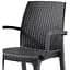 Стул Bica Verona armchair серый (9193.4) - миниатюра 2