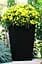 Горщик для рослин Keter Rattan Planter M (medium) 55,4 л - мініатюра 2