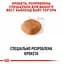 Сухий корм для собак породи Вест Хайленд Уайт Тер'єр Royal Canin Westie Adult, 0,5 кг (3981005) - мініатюра 2