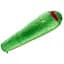 Спальник Deuter Astro Pro 400 2006 L лівий Spring Green (1052-3712017 2006 1) - мініатюра 1