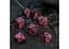 Набір кубиків The Witcher Dice Set. Crones - Whispess , 7 шт. (SWCR03) - мініатюра 3