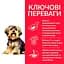 Сухой корм Hill's SP Adult Sensitive Stomach&Skin Small&MIni при чувствительном желудке и коже для взрослых малышей - миниатюра 3