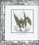 The Ultimate Illustrated Compendium: The Complete Guide to Dragons - мініатюра 11