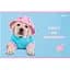 Зошит для малювання Kite Studio Pets А4 24 аркуші блакитний (SP24-242) - мініатюра 1