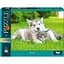 Пазл Danko Toys Друзья 1000 элементов C1000-13-05  - миниатюра 1