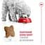 Сухой корм для взрослых собак Royal Canin Mini Adult с мясом птицы 8 кг - миниатюра 2