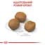 Сухий корм для щенят гігантських порід Royal Canin Giant Puppy, 1 кг (3030010) - мініатюра 2