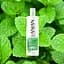 Шампунь Anian Menthol Anti-Dandruff против перхоти 400 мл  - миниатюра 4