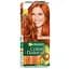 Набір: Фарба для волосся Garnier Color Naturals відтінок 7.40 вогненний мідний 110 мл х 2 шт. - мініатюра 2