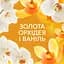 Кондиціонер для білизни Lenor Parfume Therapy Ванільна орхідея та золотий бурштин 32 цикли прання 675 мл - мініатюра 6