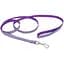 Coastal Lazer Brite Reflective Leash лазер брайт светоотражающий поводок для собак 1.6см х 1.2м (SP46434_PDY04) - миниатюра 1