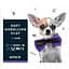 Пластилін восковий Kite Dogs 10 цветов 200 г (K22-084) - мініатюра 1