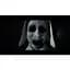 Ключ активації Microsoft The Dark Pictures Anthology: Little Hope для Xbox One/Series - мініатюра 11