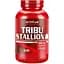 Стимулятор тестостерона ActivLab Tribu Stallion 60 капсул - миниатюра 1