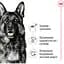Сухий корм Royal Canin Maxi Adult для дорослих собак великих порід з м'ясом птиці та кукурудзою 15 кг - мініатюра 3