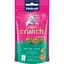 Лакомство для кошек Vitakraft Crispy Crunch Dental Care с мятой, 60 г - миниатюра 1