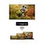 ТВ приставка - медиаплеер Thomson Streaming Box 4K UHD 240G - миниатюра 6