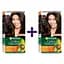 Набір: Фарба для волосся Garnier Color Naturals відтінок 3 темний каштан 110 мл х 2 шт. - мініатюра 1