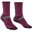 Носки Bridgedale Ski Croos Country Wmn Plum S (1053-710566.352.S) - миниатюра 1