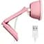Веб-камера Logitech BRIO 100 Rose (960-001623) [96684] - миниатюра 6