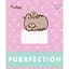 Набір зошитів Yes Pusheen Candy А5, 18 аркушів 25 шт. (767601) - мініатюра 4