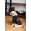 Толстовка для собак Pet Fashion Halloween М черная - миниатюра 5