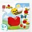 Конструктор LEGO DUPLO Моя перша квітка та бджілка - мініатюра 1