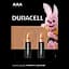 Лужні батарейки мізинчикові Duracell 1,5 V AAA LR03/MN2400, 2 шт. (706007) - мініатюра 1