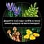 Конструктор LEGO Botanicals Лісові гриби (11505) - мініатюра 9