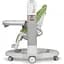 Стілець-гойдалка Peg-Perego Tatamia Follow Me Wonder Green (IH02000001WD24) - мініатюра 7