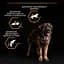 Сухий корм для дорослих собак великих порід Purina Pro Plan Large Robust Adult з куркою 14 кг (12375799) - мініатюра 8