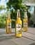 Пиво Warsteiner Extra светлое 2.5% 0.33 л - миниатюра 4