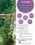 Oxford Discover. Level 6. Student Book Pack - мініатюра 3