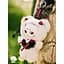 Колекційна м'яка іграшка з кільцем 10/10 Toys Kasa серія Wonderful dreams blind box (KS-001-002) - мініатюра 11