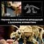 Конструктор LEGO Jurassic World Скамʼянілості динозаврів: трицератопс (77985) - мініатюра 9