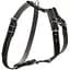Шлея для собак Collar одинарна, шкіра, для міні на середніх порід, 40-56х57-65х2 см, чорний (6361) - мініатюра 1