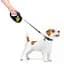 Повідець-рулетка для собак Waudog R-leash, малюнок "Дім", S, до 15 кг, 5 м, світловідбиваюча стрічка чорний - мініатюра 7