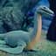 Стретч-игрушка в виде животного #sbabam Legend of animals Морские доисторические хищники (128/CN22) - миниатюра 3