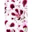 Саженец Agro-Market Королевская Пеларгония Aristo Purple Stripes (контейнер №10 высота 10-20 см) (177144) 1 шт. в упаковке - миниатюра 2