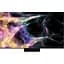 Телевизор TCL C845 85" miniLED 4K [85C845] [124586] - миниатюра 1