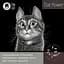 Fun Cat Oat Power наполнитель для кошачьих туалетов овсяный против запаха 5 л - миниатюра 2